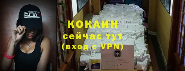 каннабис Корсаков