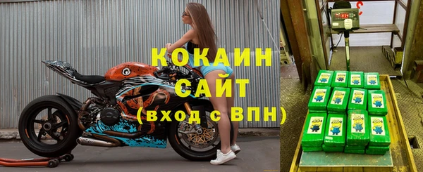 каннабис Корсаков
