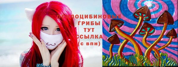 дживик Костерёво
