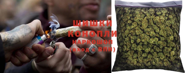 дживик Костерёво